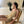 Load image into Gallery viewer, RIO | GOLD