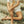Load image into Gallery viewer, Surabaya Knot | Almond