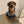 Load image into Gallery viewer, Après-ski Dog Sweater