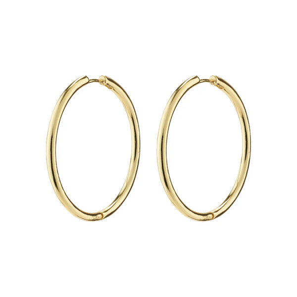 Eanna Hoop Earrings I Gold Plated